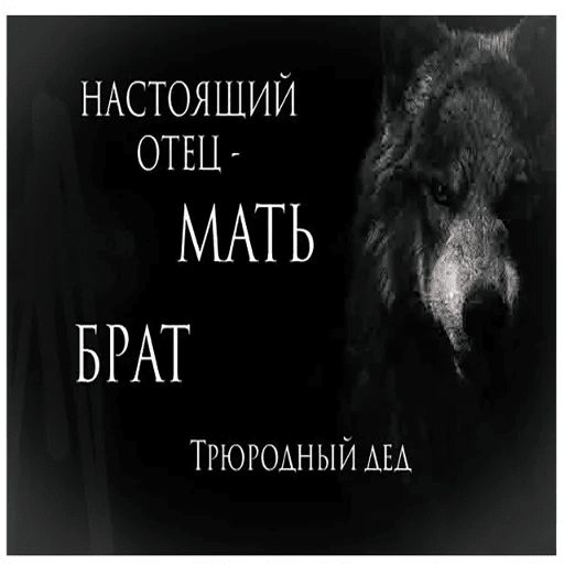 Антицирк sticker 2