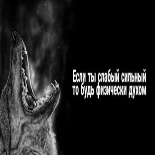 Антицирк sticker 13