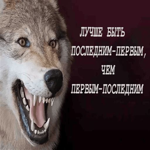 Антицирк sticker 14