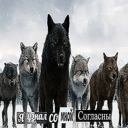 Антицирк sticker 3