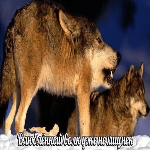 Антицирк sticker 4