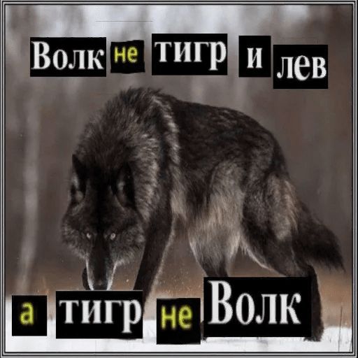 Антицирк sticker 6