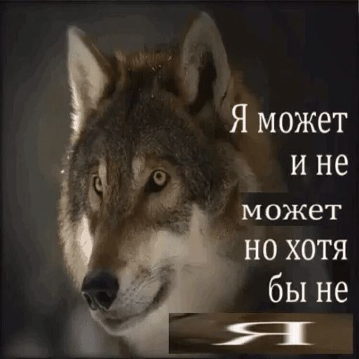 Антицирк sticker 7