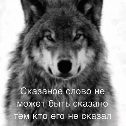 Антицирк sticker 8