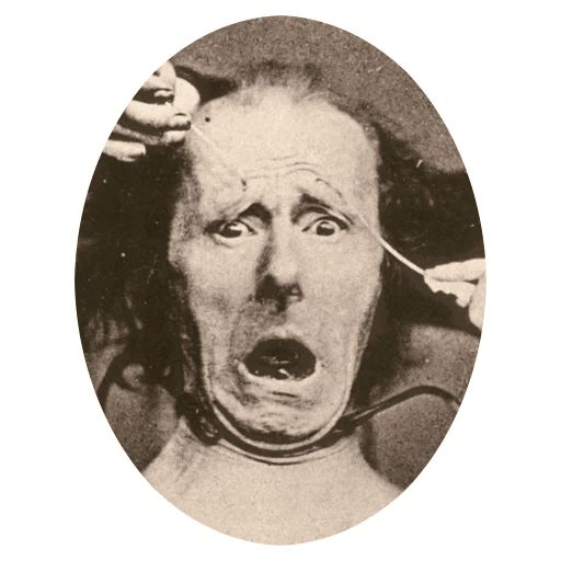 .\-Darwin Telegram sticker pack