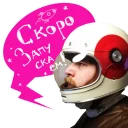 BarsukSecretPack sticker 5