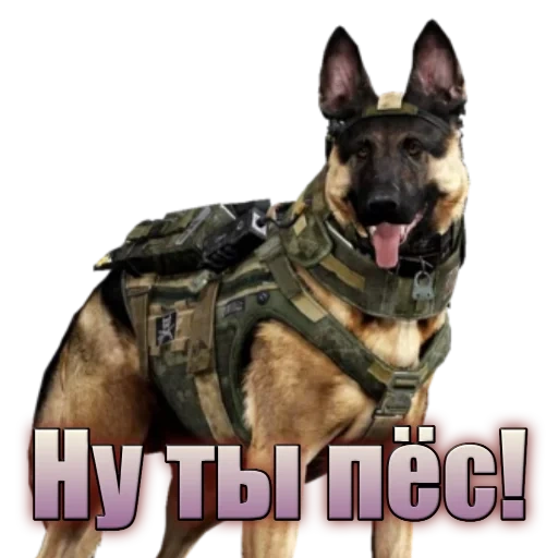 Call of Duty: MOBILE sticker 49