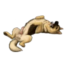 Besti Dog Pack sticker 3