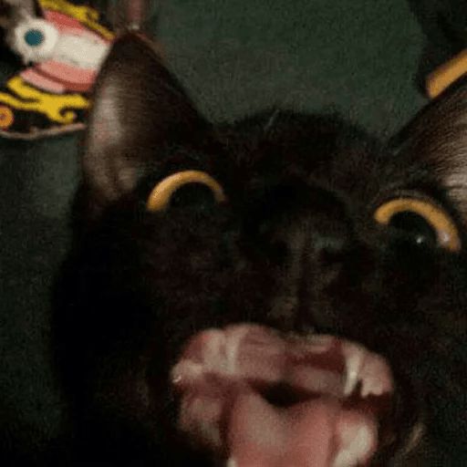 Broken Cats sticker 103