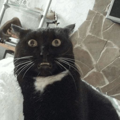 Broken Cats sticker 111