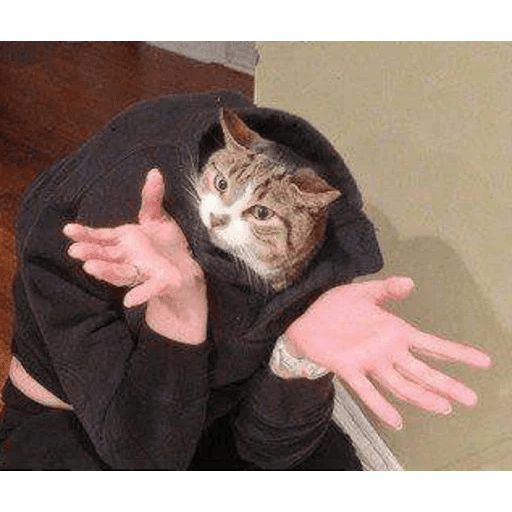 Broken Cats sticker 113