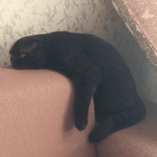 Broken Cats sticker 117