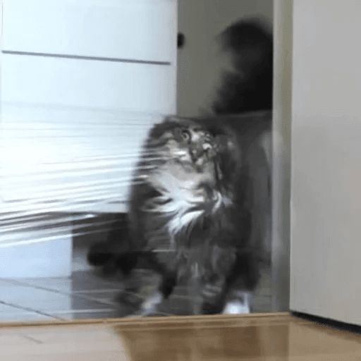 Broken Cats sticker 25