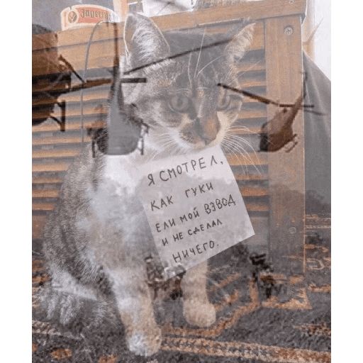 Broken Cats sticker 28