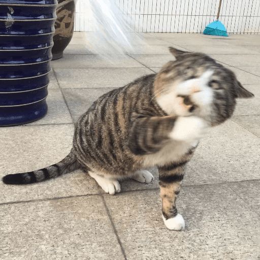 Broken Cats sticker 34