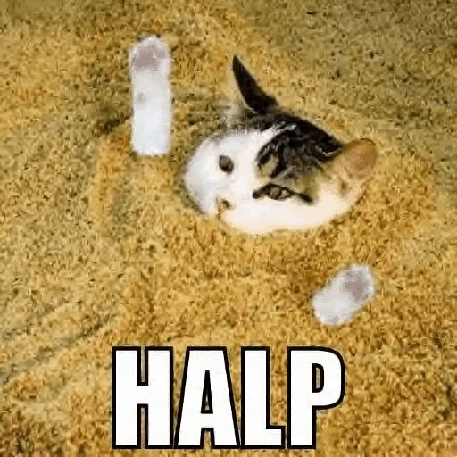 Broken Cats sticker 35