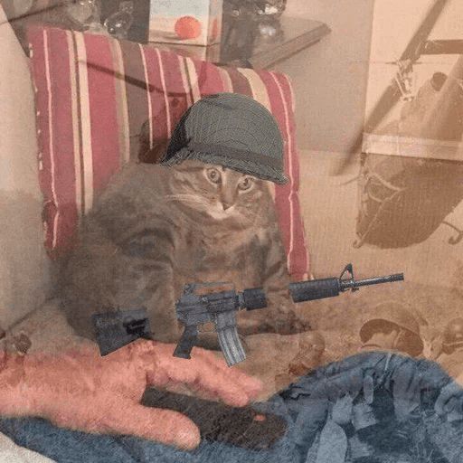 Broken Cats sticker 42