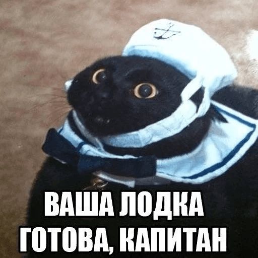 Broken Cats sticker 59