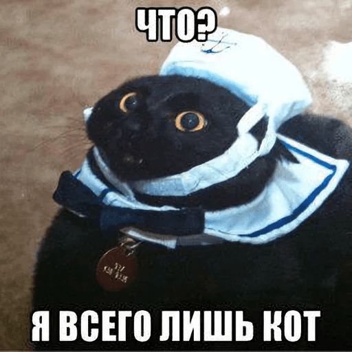 Broken Cats sticker 60