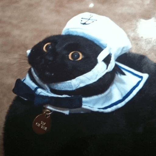 Broken Cats sticker 62