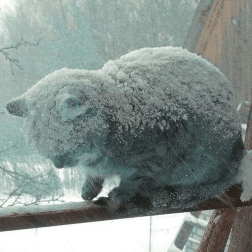 Broken Cats sticker 70