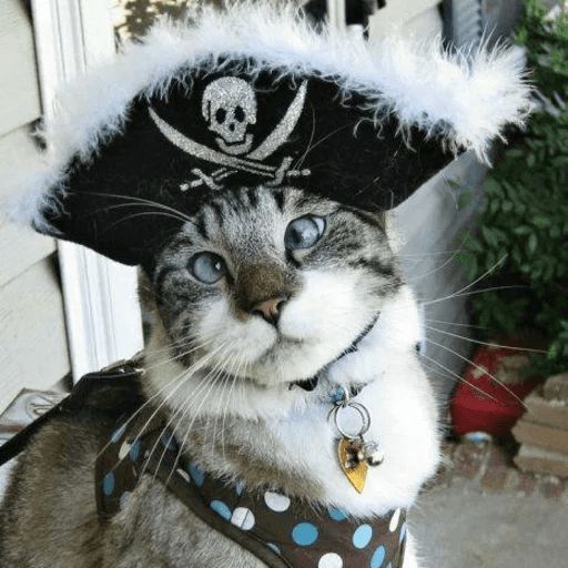 Broken Cats sticker 78