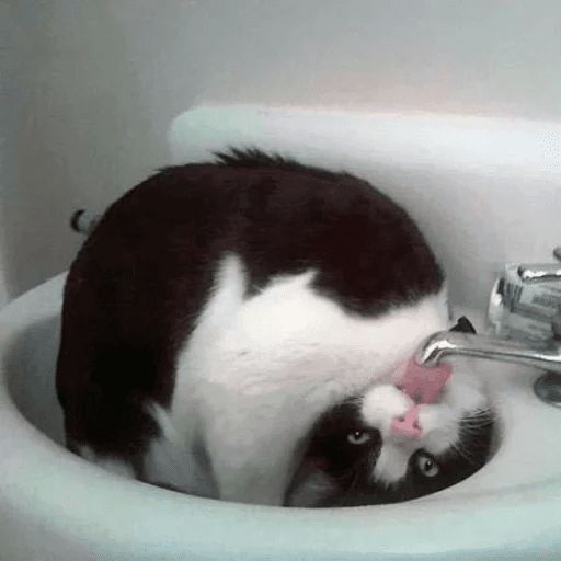 Broken Cats sticker 79