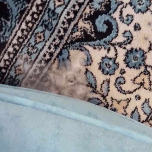 Broken Cats sticker 9