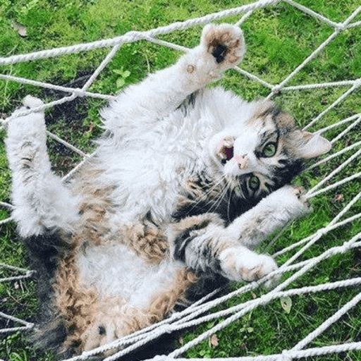 Broken Cats sticker 85