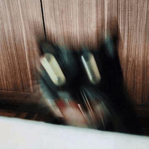 Broken Cats sticker 10