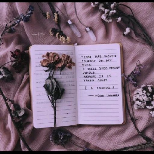 @bwnfsh 2 sticker 118