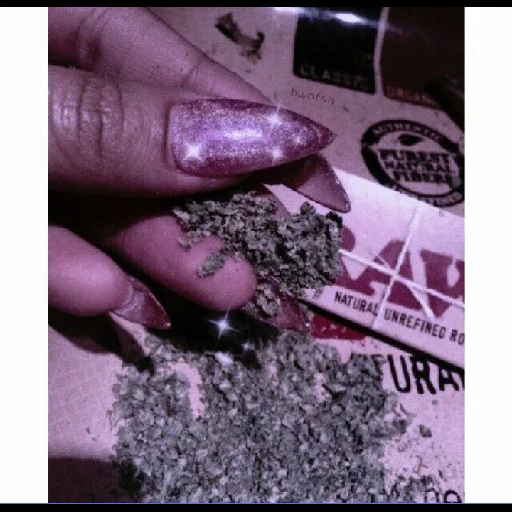 @bwnfsh 2 sticker 26