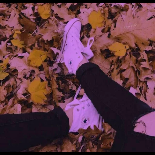 @bwnfsh 2 sticker 46