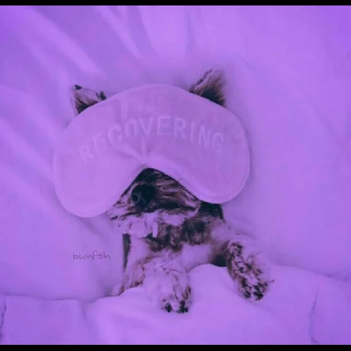 @bwnfsh 2 sticker 47