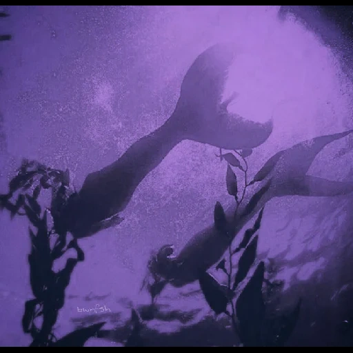 @bwnfsh 2 sticker 55