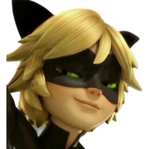 Cat Noir - Miraculous sticker 16