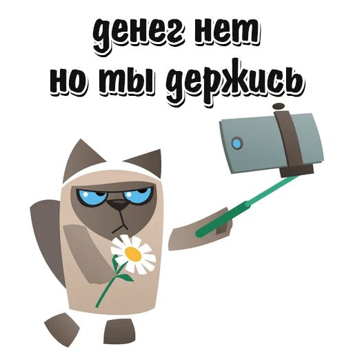 Правда и котики телеграмм