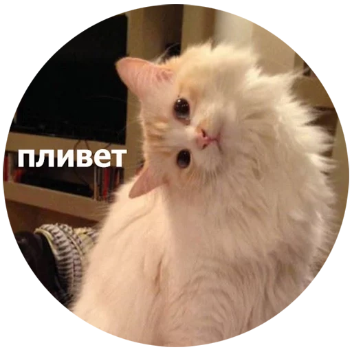 Кусь Telegram sticker pack