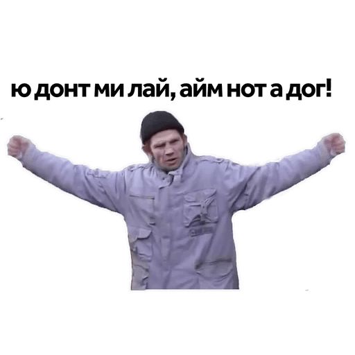 Ты мне втираешь какую-то дичь sticker 15