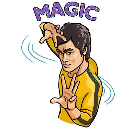 Bruce Lee sticker 13