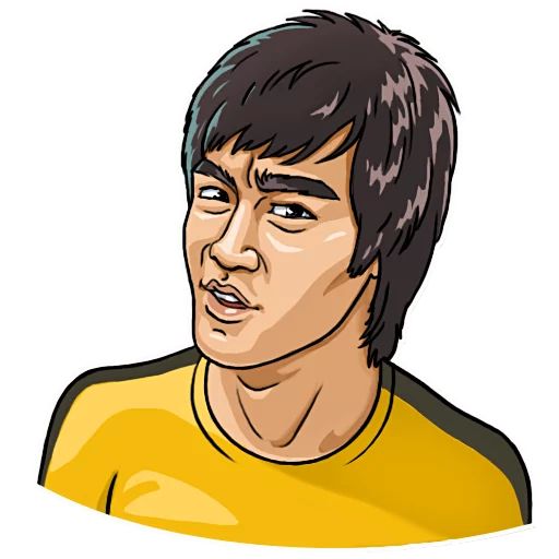 Bruce Lee sticker 17