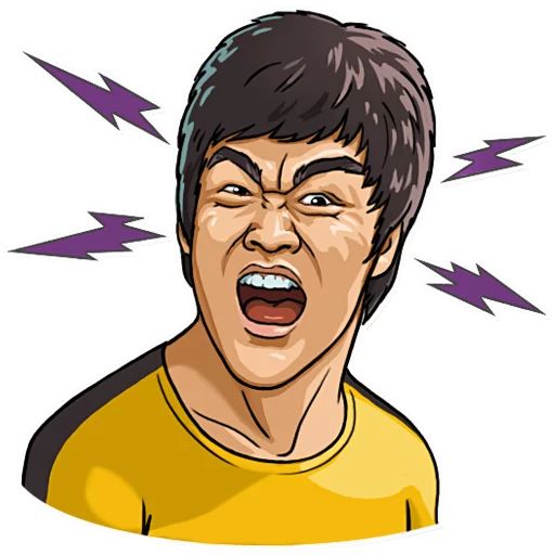 Bruce Lee sticker 24