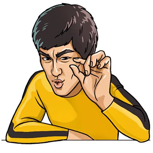 Bruce Lee sticker 33