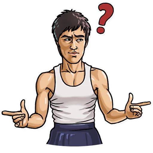Bruce Lee sticker 38