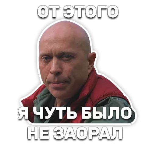 DruzhkoSHOW sticker 101
