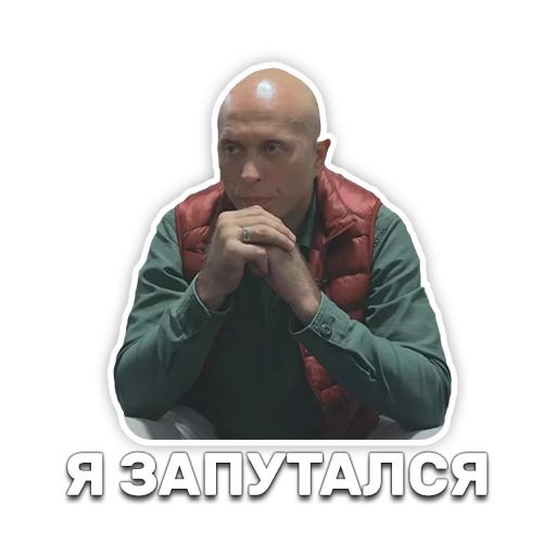 DruzhkoSHOW sticker 102