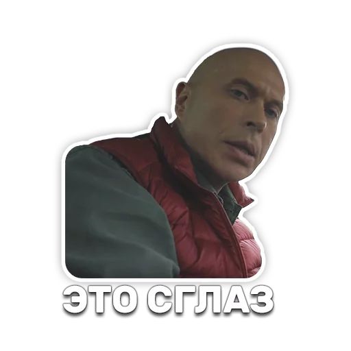 DruzhkoSHOW sticker 103