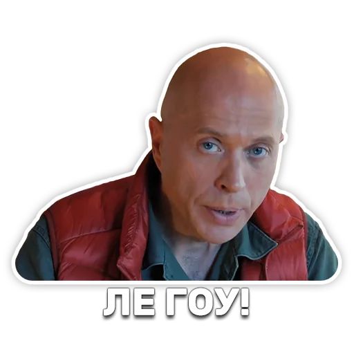 DruzhkoSHOW sticker 107