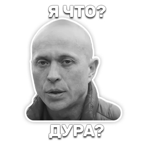 DruzhkoSHOW sticker 113