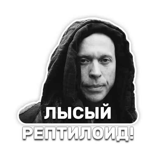 DruzhkoSHOW sticker 116